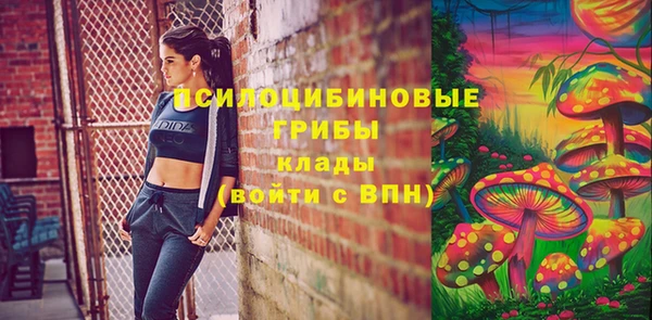 круглые Белокуриха