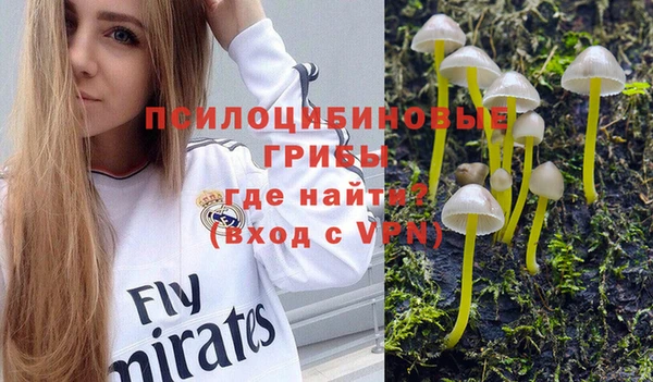 трава Беломорск