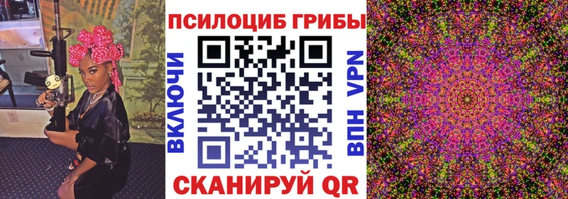 Галлюциногенные грибы Psilocybe  Купить закладки  Нерюнгри 